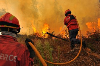 bombeiros combatem